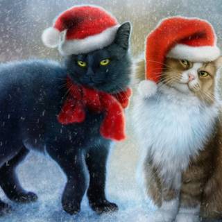 New Year cat wallpaper
