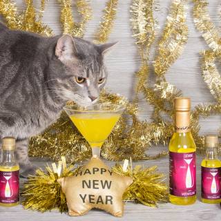 New Year cat wallpaper