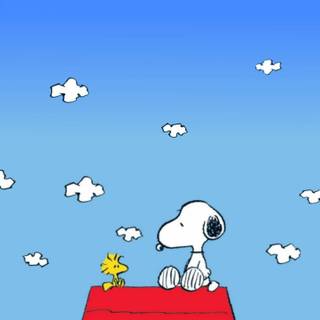 Peanuts 4k wallpaper