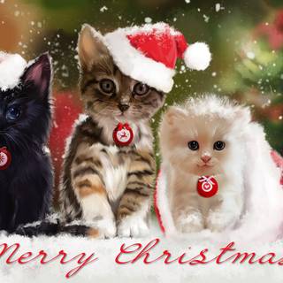 New Year cat wallpaper