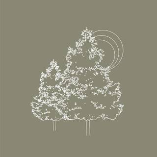 Cute green winter wallpaper