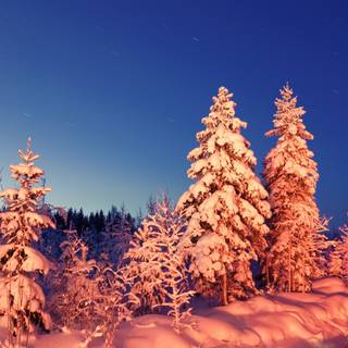 Cute winter PC wallpaper