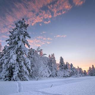 Cute winter PC wallpaper