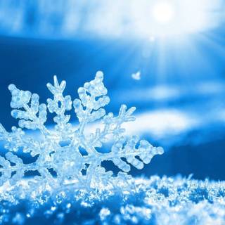 Cute winter PC wallpaper