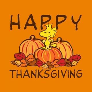 Cute aesthetic Thanksgiving wallpaper