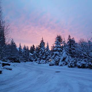 Cute winter PC wallpaper