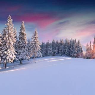 Cute winter PC wallpaper