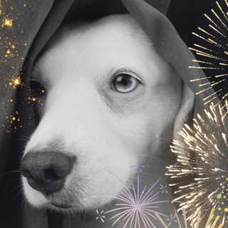 New Year dog wallpaper