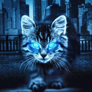 Glowing cat wallpaper