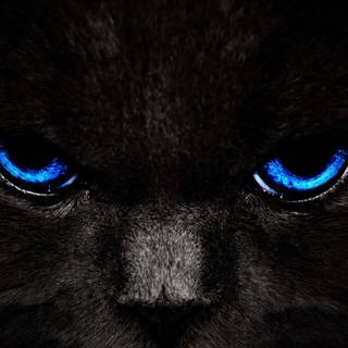 Glowing cat wallpaper