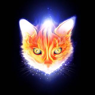 Glowing cat wallpaper