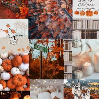 Aesthetic fall iPad wallpaper