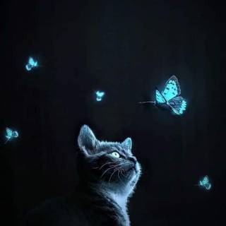 Glowing cat wallpaper