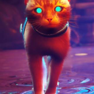 Glowing cat wallpaper