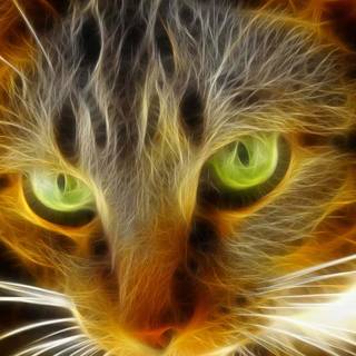 Glowing cat wallpaper