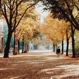 Aesthetic fall iPad wallpaper