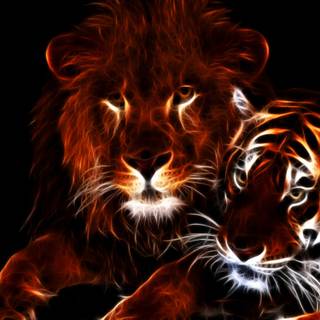 Glowing lions wallpaper
