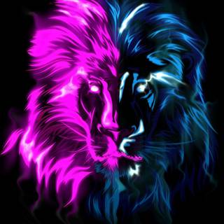 Glowing lions wallpaper
