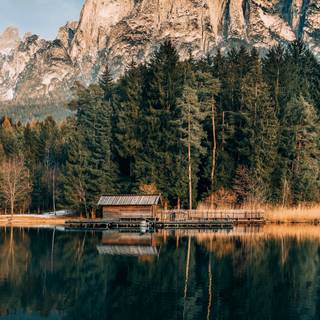 8k vertical wallpaper