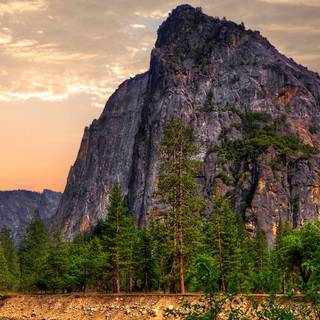 8k vertical wallpaper