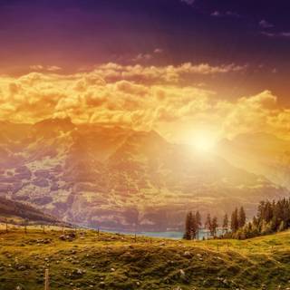 8k vertical wallpaper