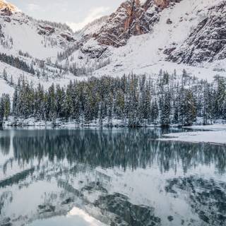 8k vertical wallpaper