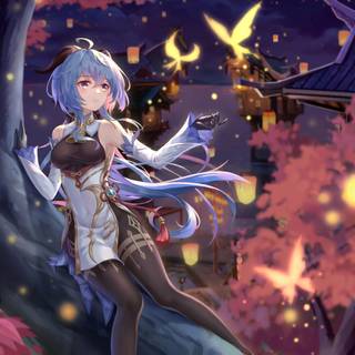 Genshin girls wallpaper