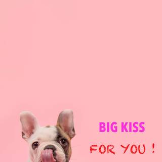 Professional iPhone wallpaper