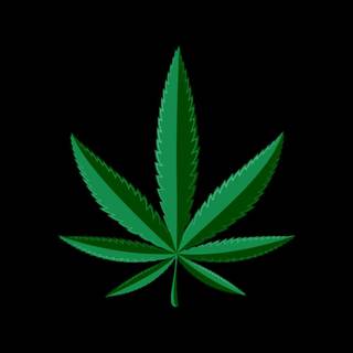 Weed leaves wallpaper