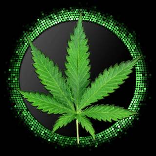 Weed leaves wallpaper