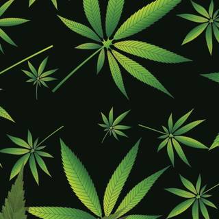 Weed leaves wallpaper