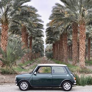 1963 Mini Cooper wallpaper