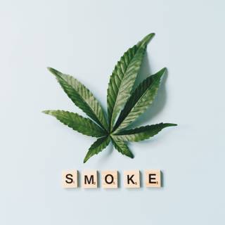 Weed leaves wallpaper