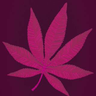 Weed leaves wallpaper