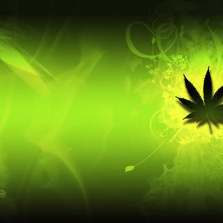 Weed leaves wallpaper