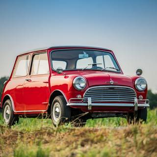 1963 Mini Cooper wallpaper