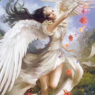 Angel drawing wallpaper