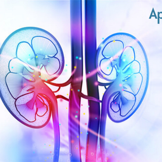 Urology wallpaper