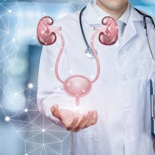 Urology wallpaper