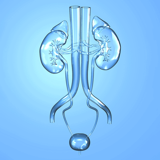 Urology wallpaper
