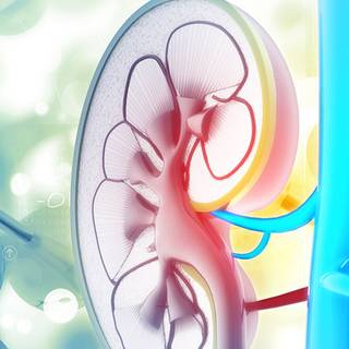Urology wallpaper