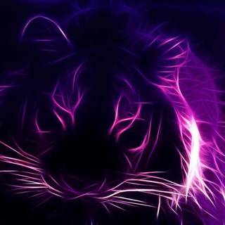 Purple neon desktop wallpaper