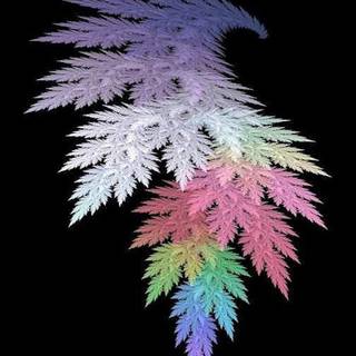 iPhone 5 HD wallpaper