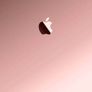 iPhone 5 HD wallpaper
