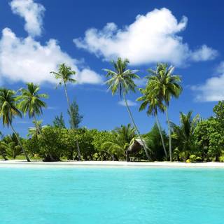 Australia beaches desktop wallpaper