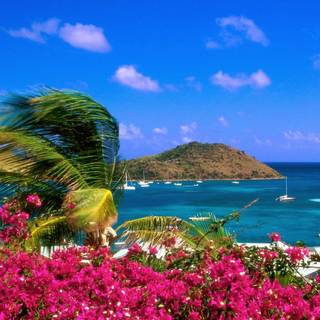 Australia beaches desktop wallpaper