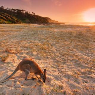 Australia beaches desktop wallpaper