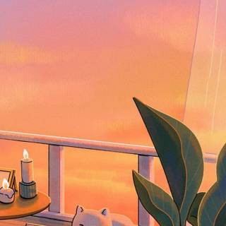 Cat sunset wallpaper