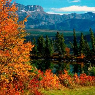 National Park autumn wallpaper