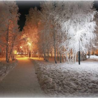 Cozy winter night wallpaper